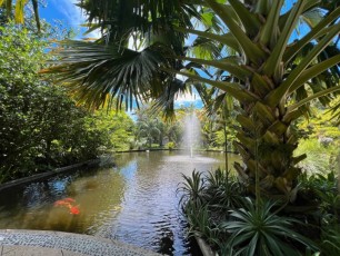 Miami-Beach-Botanical-Garden-6193