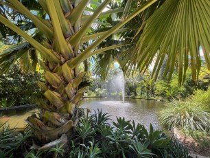 Miami-Beach-Botanical-Garden-6208