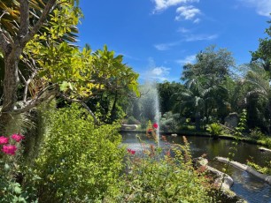 Miami-Beach-Botanical-Garden-6212