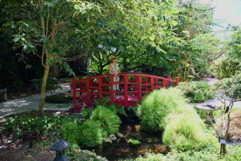 Miami-Beach-Botanical-Garden-9671