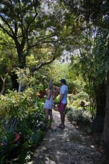 LeJardin Botanique de Miami Beach