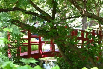 LeJardin Botanique de Miami Beach