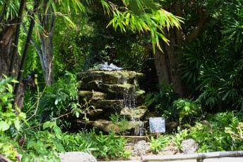 Miami-Beach-Botanical-Garden-9701