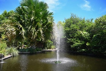 Miami-Beach-Botanical-Garden-9742