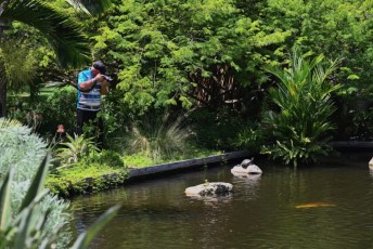 Miami-Beach-Botanical-Garden-9761