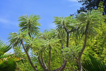 Miami-Beach-Botanical-Garden-9784