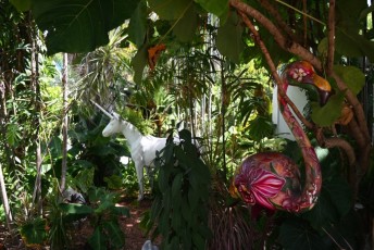 Miami-Beach-Botanical-Garden-9789