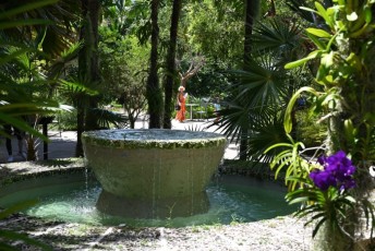 Miami-Beach-Botanical-Garden-9803