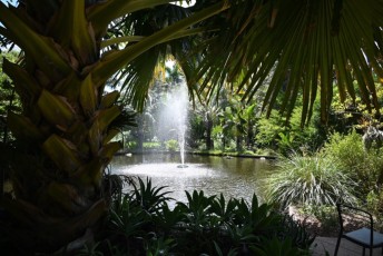 Miami-Beach-Botanical-Garden-9814
