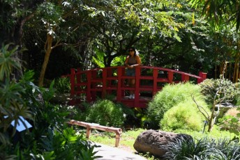 Miami-Beach-Botanical-Garden-9825