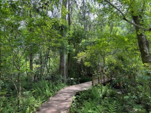 Jacksonville Arboretum & Botanical Gardens