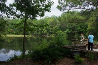 jacksonville-arboretum-Botanical Gardens-4573