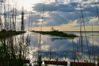 Loxahatchee-National-Wildlife-Refuge-Parkland-7741