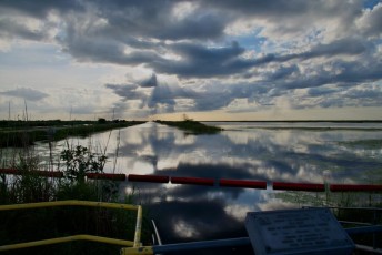 Loxahatchee-National-Wildlife-Refuge-Parkland-7789