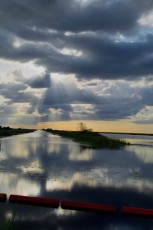 Loxahatchee-National-Wildlife-Refuge-Parkland-7791