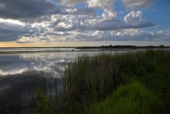 Loxahatchee-National-Wildlife-Refuge-Parkland-7800