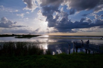 Loxahatchee-National-Wildlife-Refuge-Parkland-7846