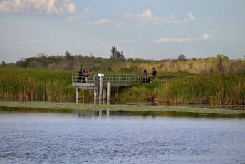 Loxahatchee-National-Wildlife-Refuge-Parkland-7859