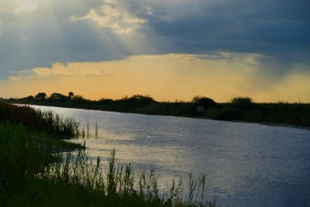 Loxahatchee-National-Wildlife-Refuge-Parkland-7861