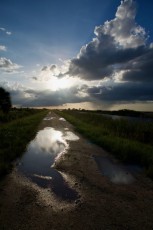 Loxahatchee-National-Wildlife-Refuge-Parkland-7868