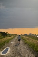 Loxahatchee-National-Wildlife-Refuge-Parkland-7881