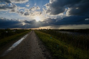 Loxahatchee-National-Wildlife-Refuge-Parkland-7882