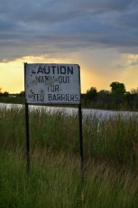 Loxahatchee-National-Wildlife-Refuge-Parkland-7891