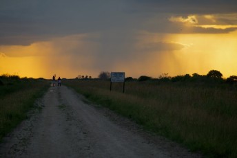 Loxahatchee-National-Wildlife-Refuge-Parkland-7973
