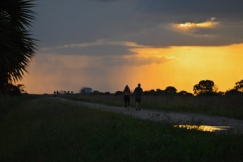 Loxahatchee-National-Wildlife-Refuge-Parkland-7978