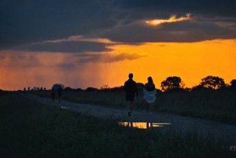 Loxahatchee-National-Wildlife-Refuge-Parkland-7993 1
