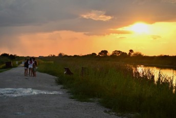 Loxahatchee-National-Wildlife-Refuge-Parkland-8014
