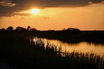 Loxahatchee-National-Wildlife-Refuge-Parkland-8015