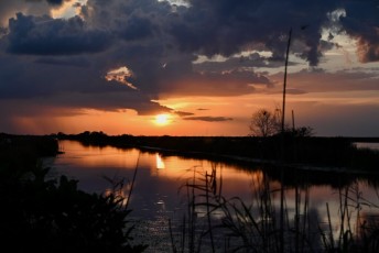 Loxahatchee-National-Wildlife-Refuge-Parkland-8039