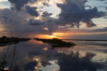 Loxahatchee-National-Wildlife-Refuge-Parkland-8047