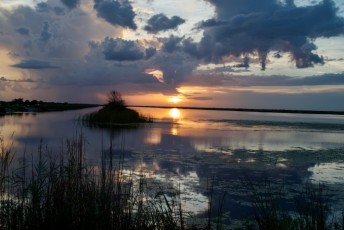 Loxahatchee-National-Wildlife-Refuge-Parkland-8055