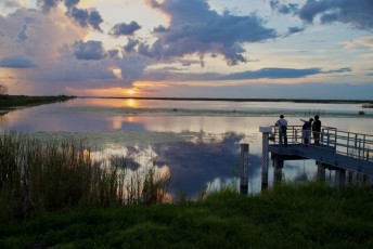 Loxahatchee-National-Wildlife-Refuge-Parkland-8062