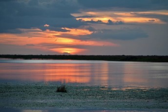 Loxahatchee-National-Wildlife-Refuge-Parkland-8087