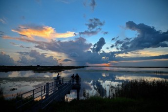 Loxahatchee-National-Wildlife-Refuge-Parkland-8093