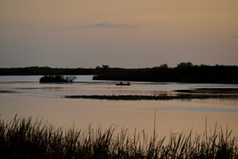 Loxahatchee-National-Wildlife-Refuge-Parkland-8425