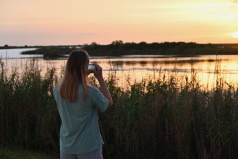 Loxahatchee-National-Wildlife-Refuge-Parkland-8443
