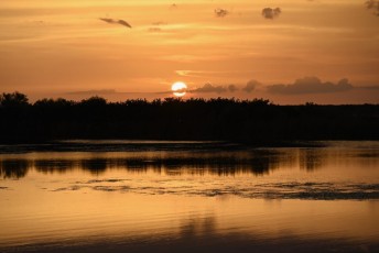 Loxahatchee-National-Wildlife-Refuge-Parkland-8452
