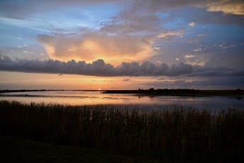 Loxahatchee-National-Wildlife-Refuge-Parkland-8474