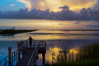 Loxahatchee-National-Wildlife-Refuge-Parkland-8502