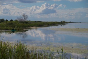 loxahatchee-everglades-floride-5323
