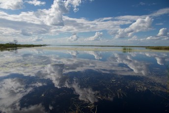 loxahatchee-everglades-floride-5324