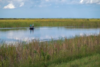 loxahatchee-everglades-floride-5378