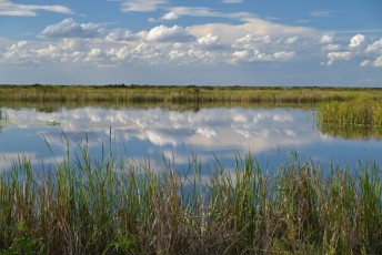 loxahatchee-everglades-floride-5425