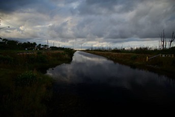 loxahatchee-preserve-Floride-6638