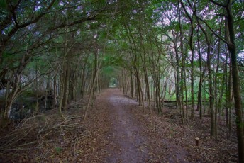 loxahatchee-preserve-Floride-6664