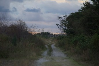 loxahatchee-preserve-Floride-6685